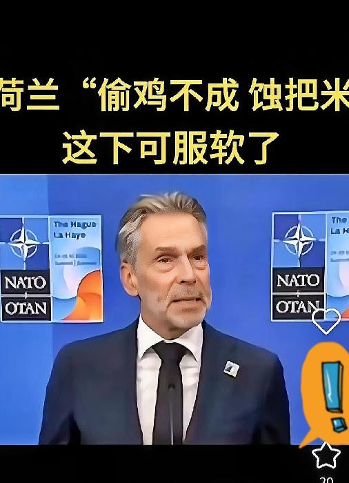 这回荷兰人真是搬起石头砸自己的脚！
 
安世东方大国直接摊牌：以后不用荷兰母公司