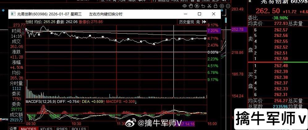 兆易创新和佰维存储都是存储线的持续持股的标的。早盘也都是竞价大高开，报收锁仓红盘