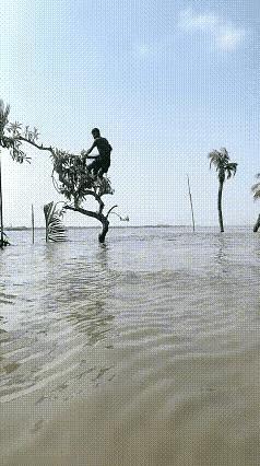 不得不说，这网撒的很帅