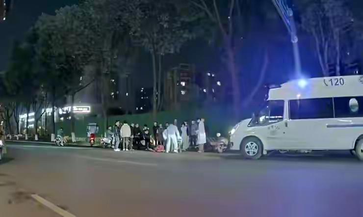 2025年11月15日晚，成都新都区东骏湖景湾附近发生一起因未拴绳犬只引发的交通