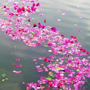 风吹落了春的花瓣
飘向了遥远
任凭花儿大声的呼喊
任凭花儿泪流满面
已成了过往