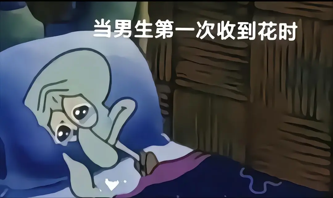 我从没想过我会收到花