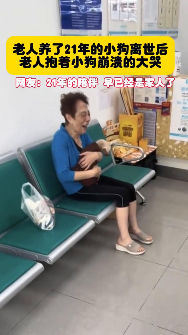 只有养狗的人才懂的痛。
老人养了21年的小狗离世后，老人抱着小狗崩溃的大哭。网友