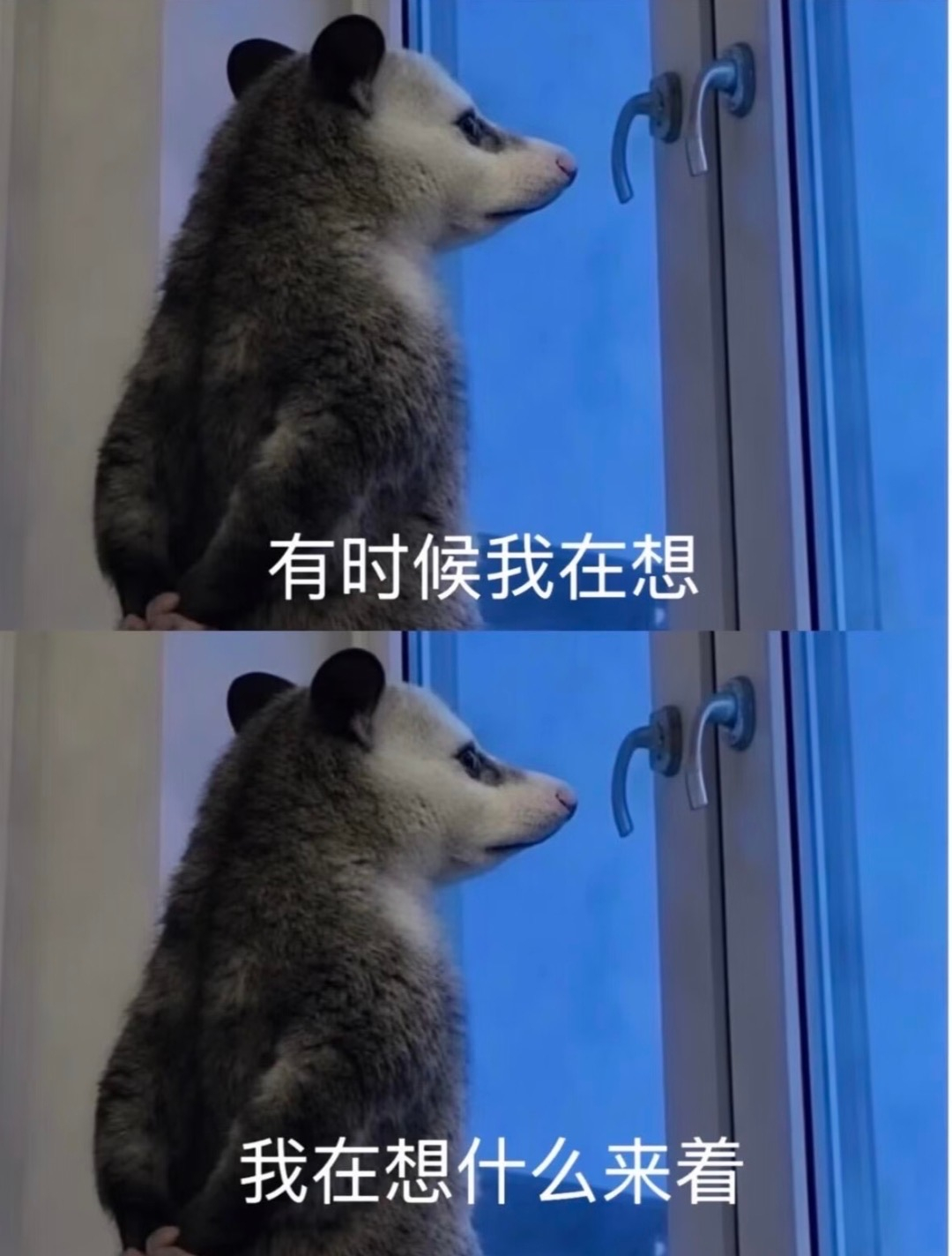 本人的靠谱程度be like 