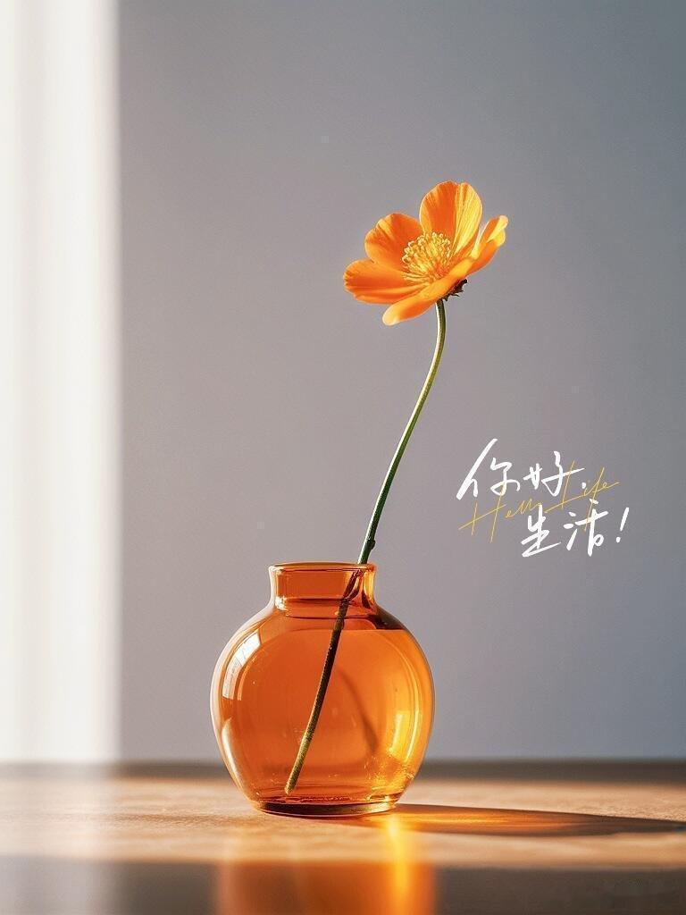 早安 轻轻说一声你好，生活，是与平凡日子温柔相拥的开始。不必执着于盛大的欢喜，不
