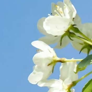 每日一善 阳光信用每日一善 人生总是有许多的不如意，我们要放宽心。舍得舍得，有舍