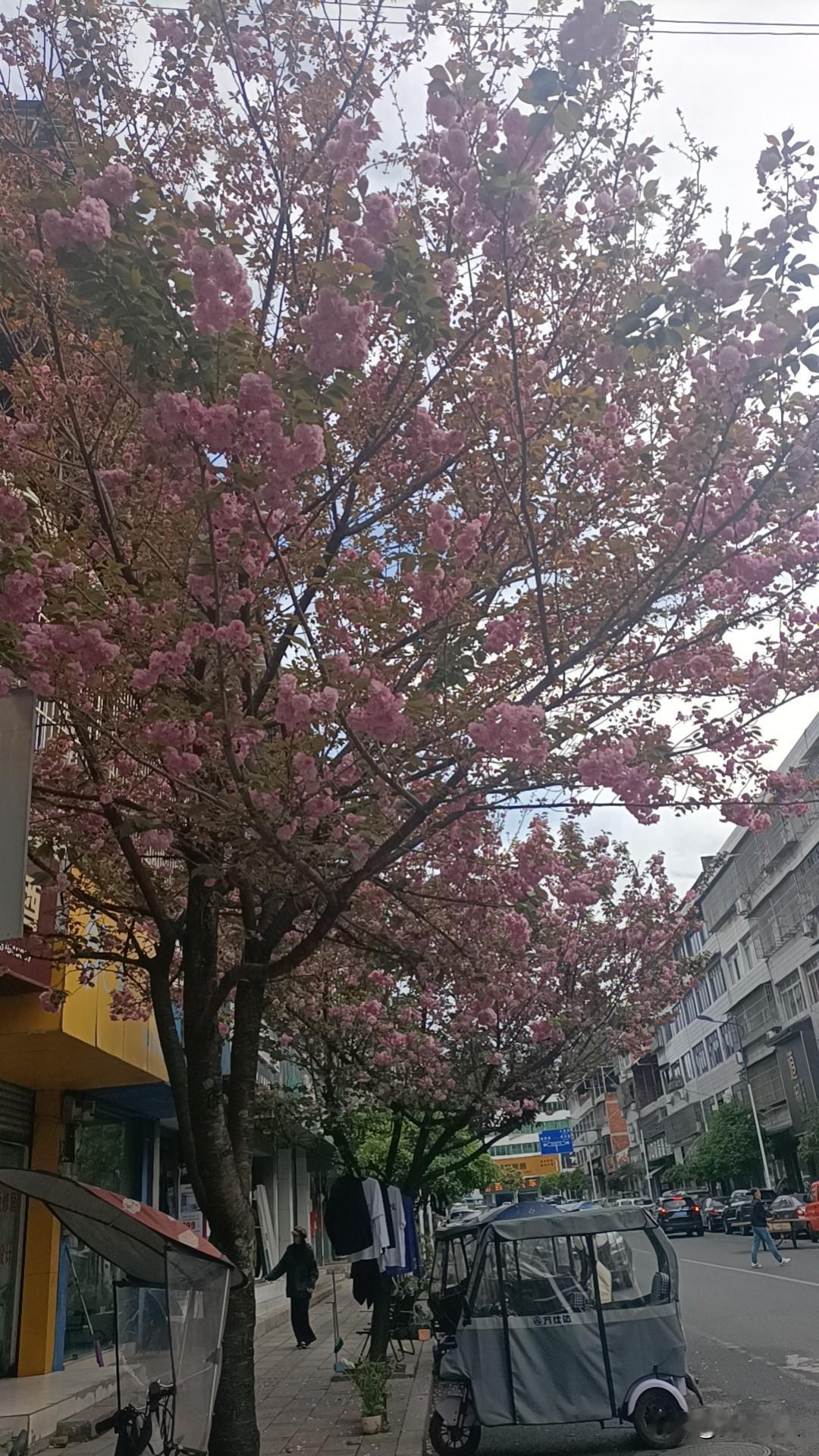 凌晨两点半的便利店

凌晨两点半，整座城市都睡熟了，只有路灯还醒着，在空无一人的