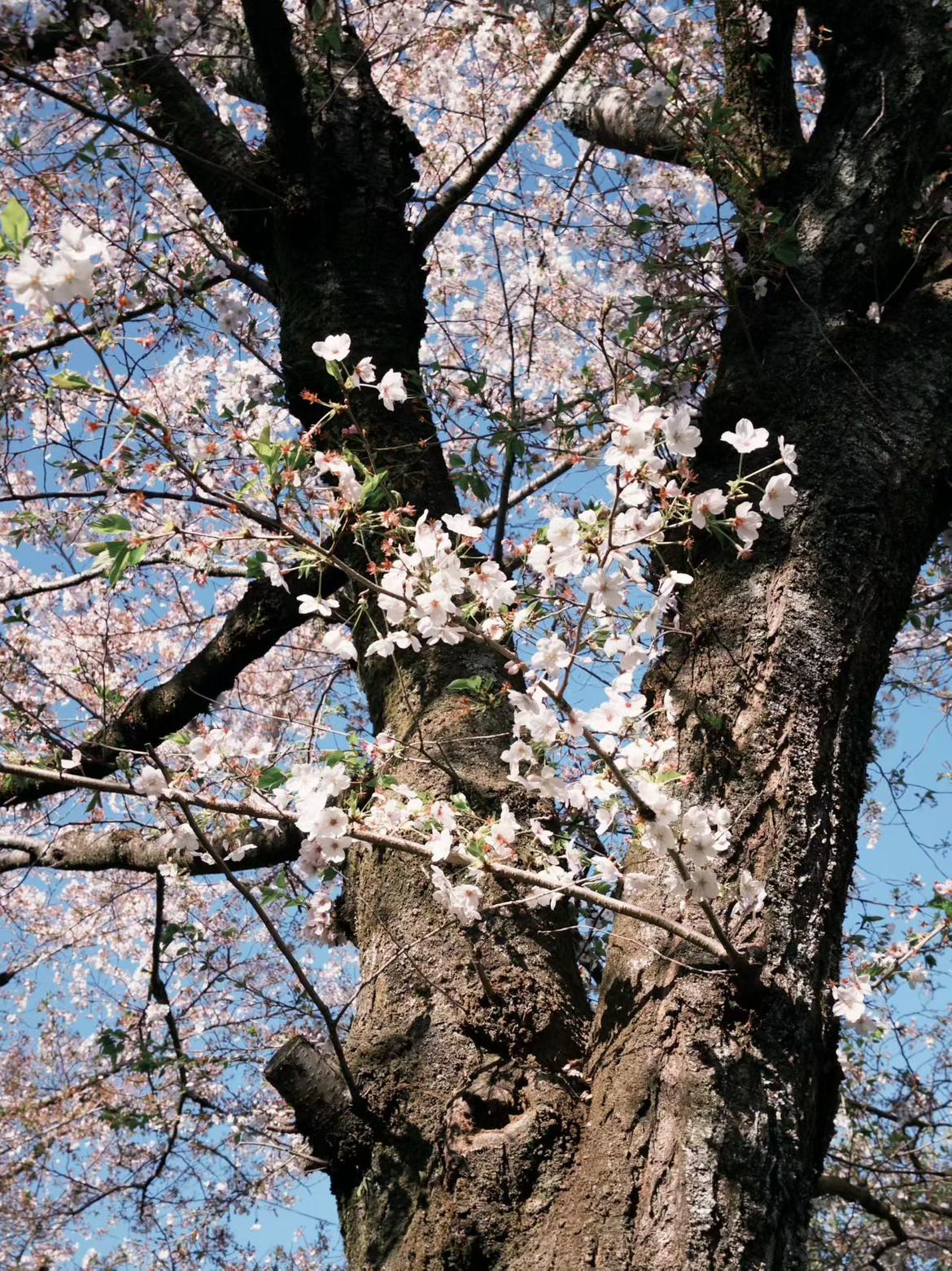 我的今日状态：😁轻松愉快
我这里的天气：☀️晴天