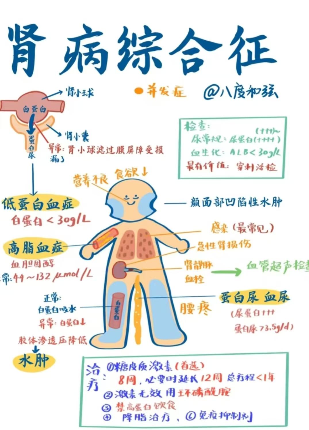 肾病综合征是以大量蛋白尿和低白蛋白血症或低蛋白血症为特殊临床表现的临床综合征是由受损的肾小球基底膜对血清蛋白通透性增加而引起。