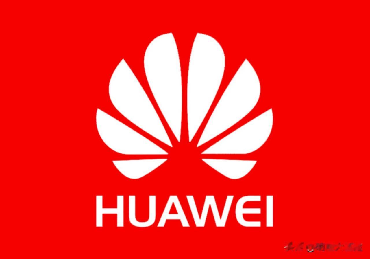 一家中国企业发展到让大漂亮害怕，不惜举国之力来打压，可想而知！你就说牛不牛！
