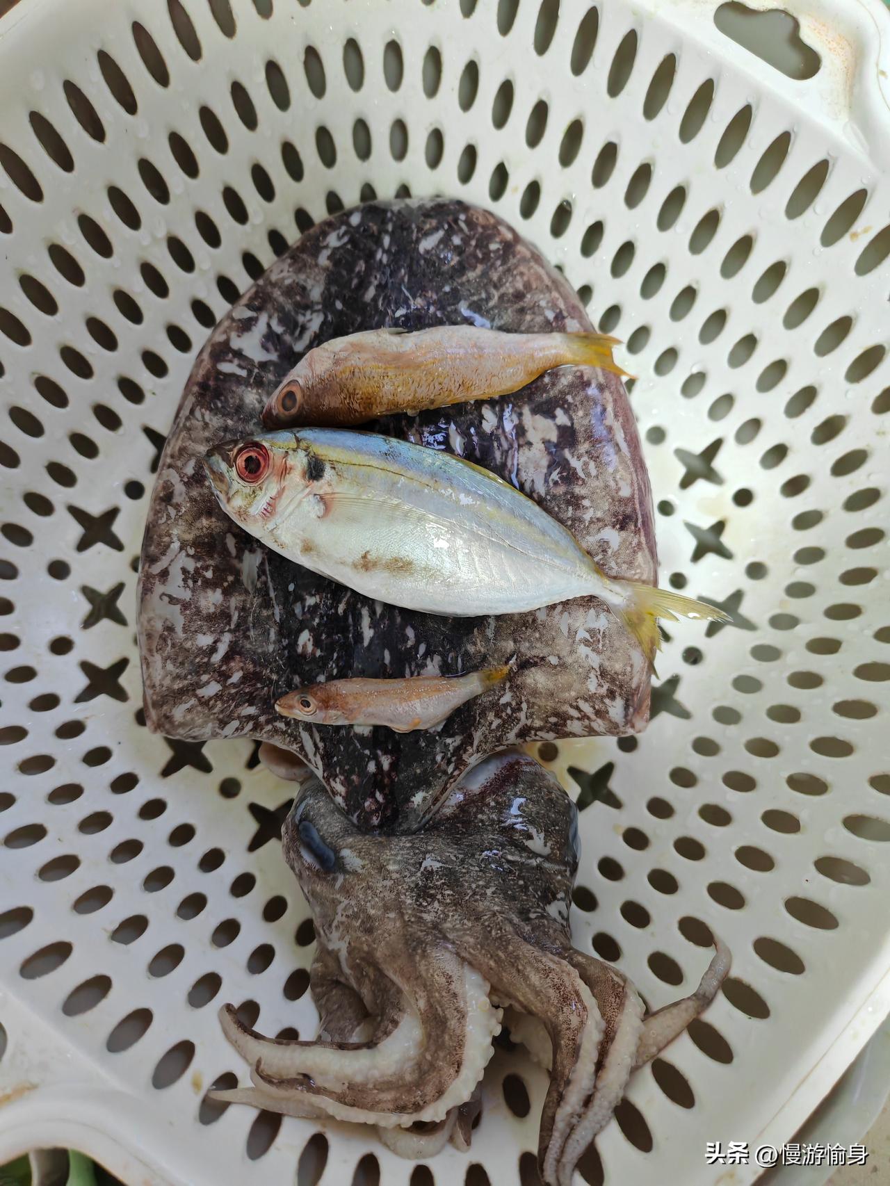 买菜遭遇！



魔都买菜遭遇（嘉定区白银路）
今天在白银路一联华超市门口，看见