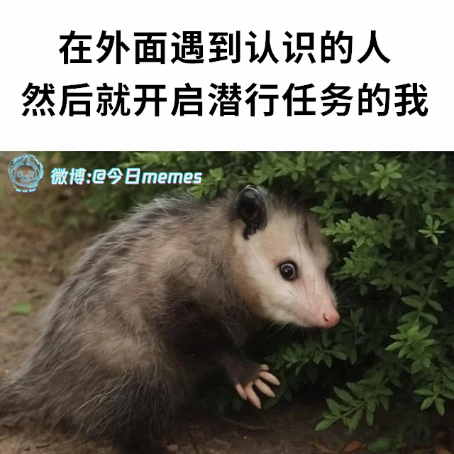 触了（9gag）今日meme[超话] 今日memes ​​​