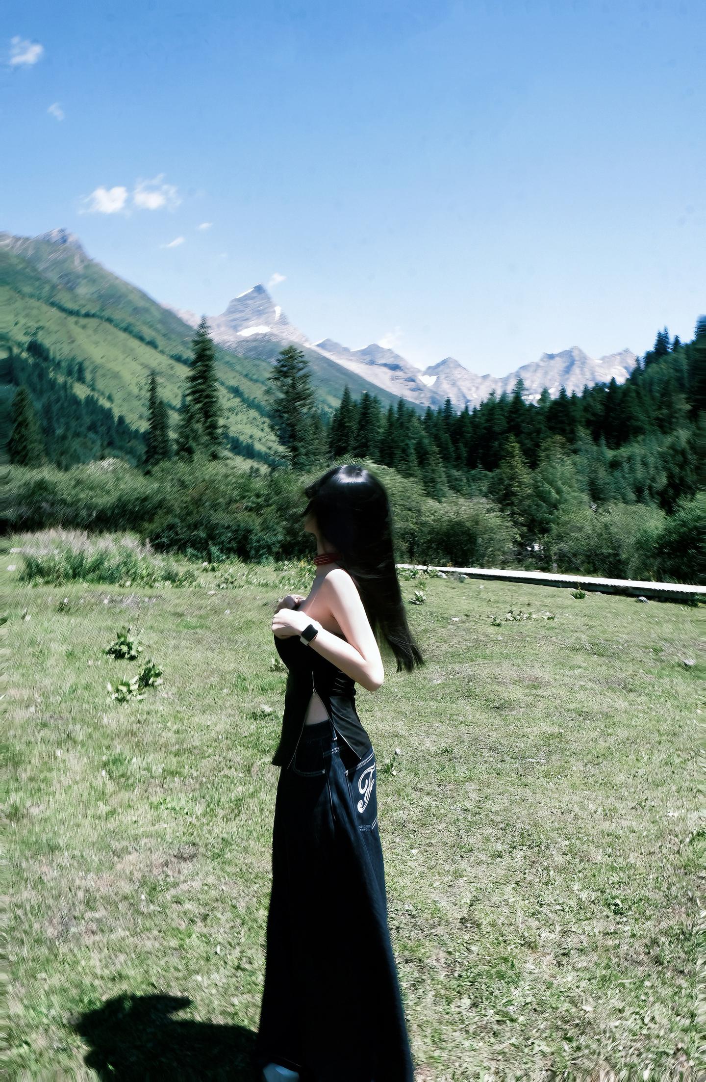 我见过你的美丽 也见过你的背影