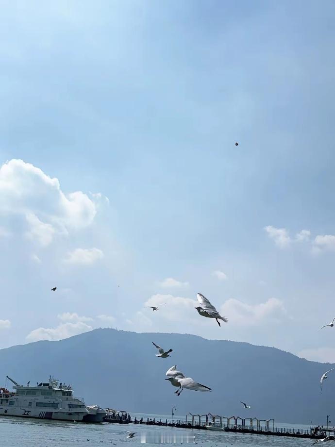真的喜欢《繁花》里的一段话：“我们都是挣点小钱的普通人，所以，很多事情可以不用放