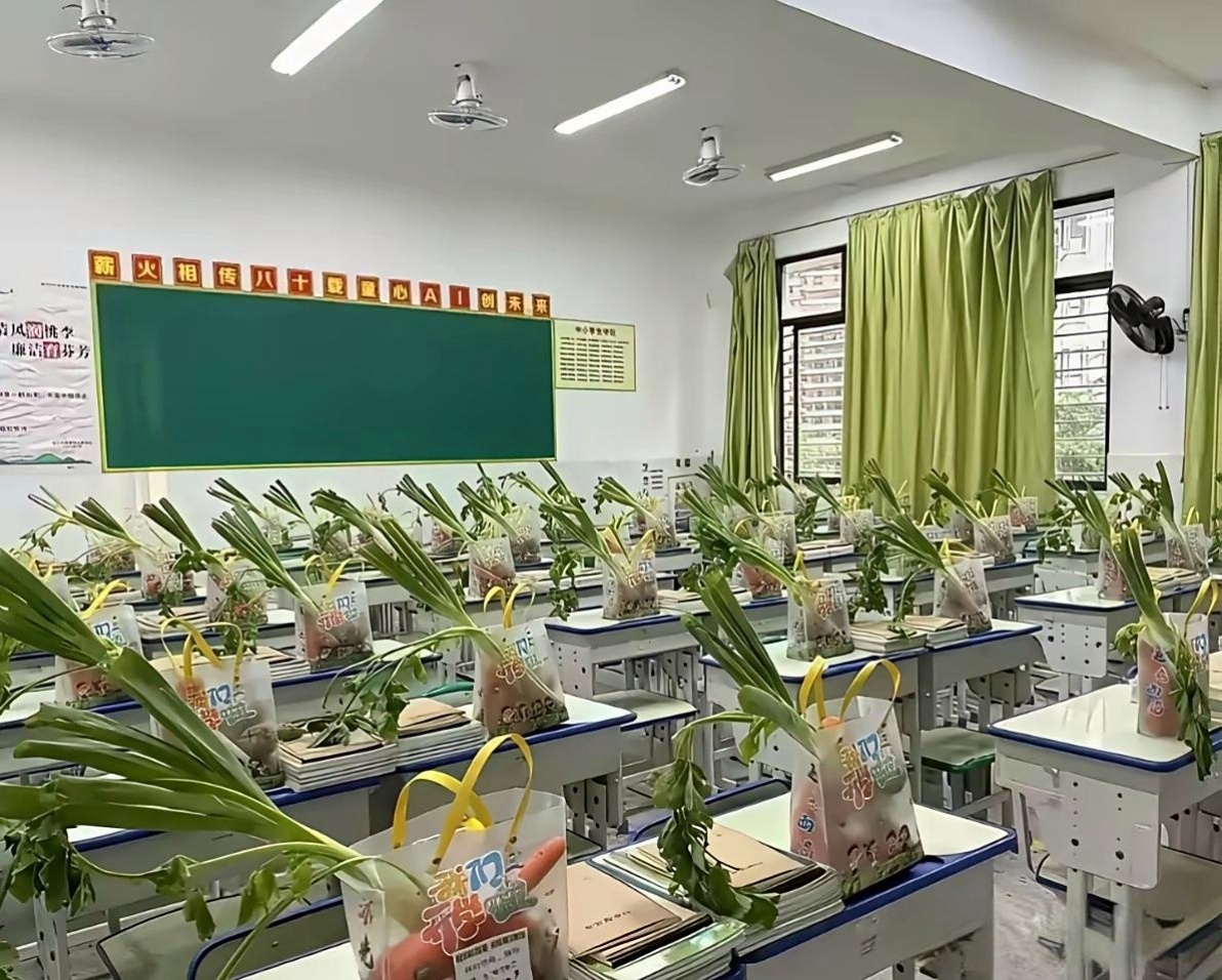 不懂就问，这是老师让干的，还是家委自发的 ​​​