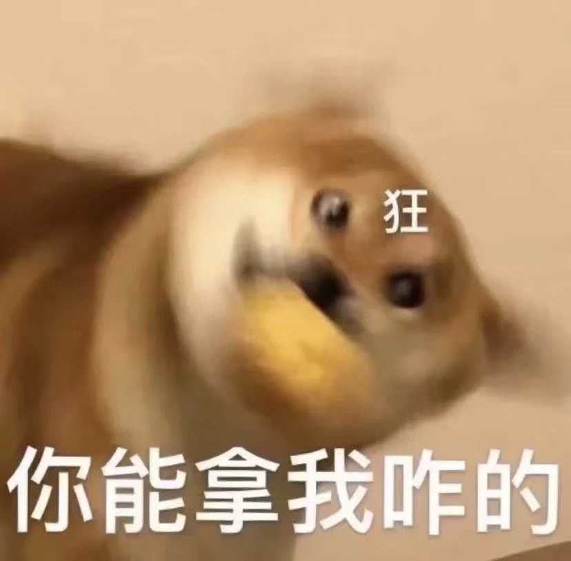 丰富一下聊天表情包 ​​​