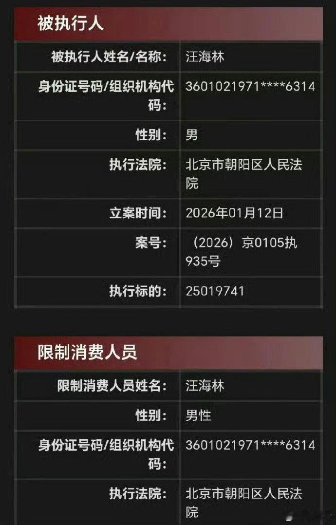 “峰哥亡命天涯”向北京税务实名举报汪海林偷税漏税，汪海林称清者自清无需回应，此前