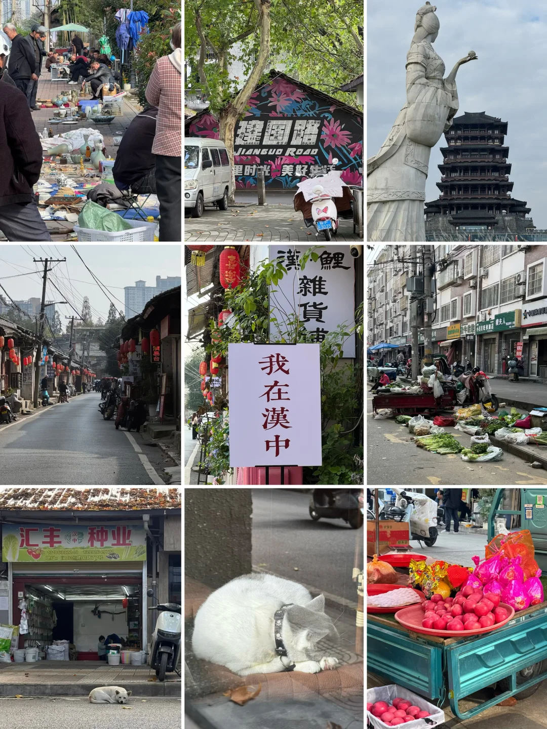 周末在汉中的街头走一走