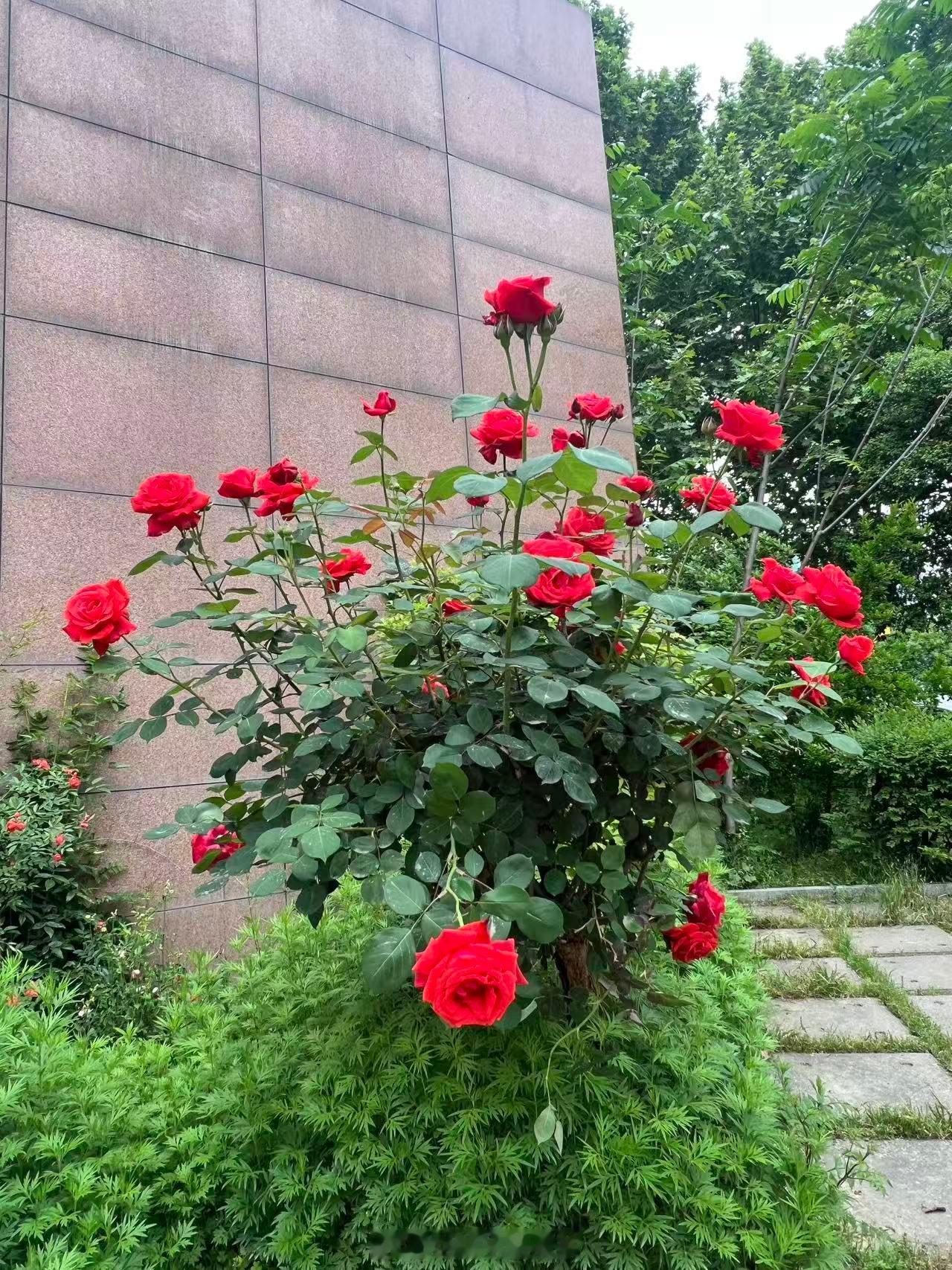 ¨̮ ᴴᴬᵛᴱ ᴬ ᴳᴼᴼᴰ ᵀᴵᴹᴱ 🦋 在喜欢你的人那里，热爱生活 在不喜