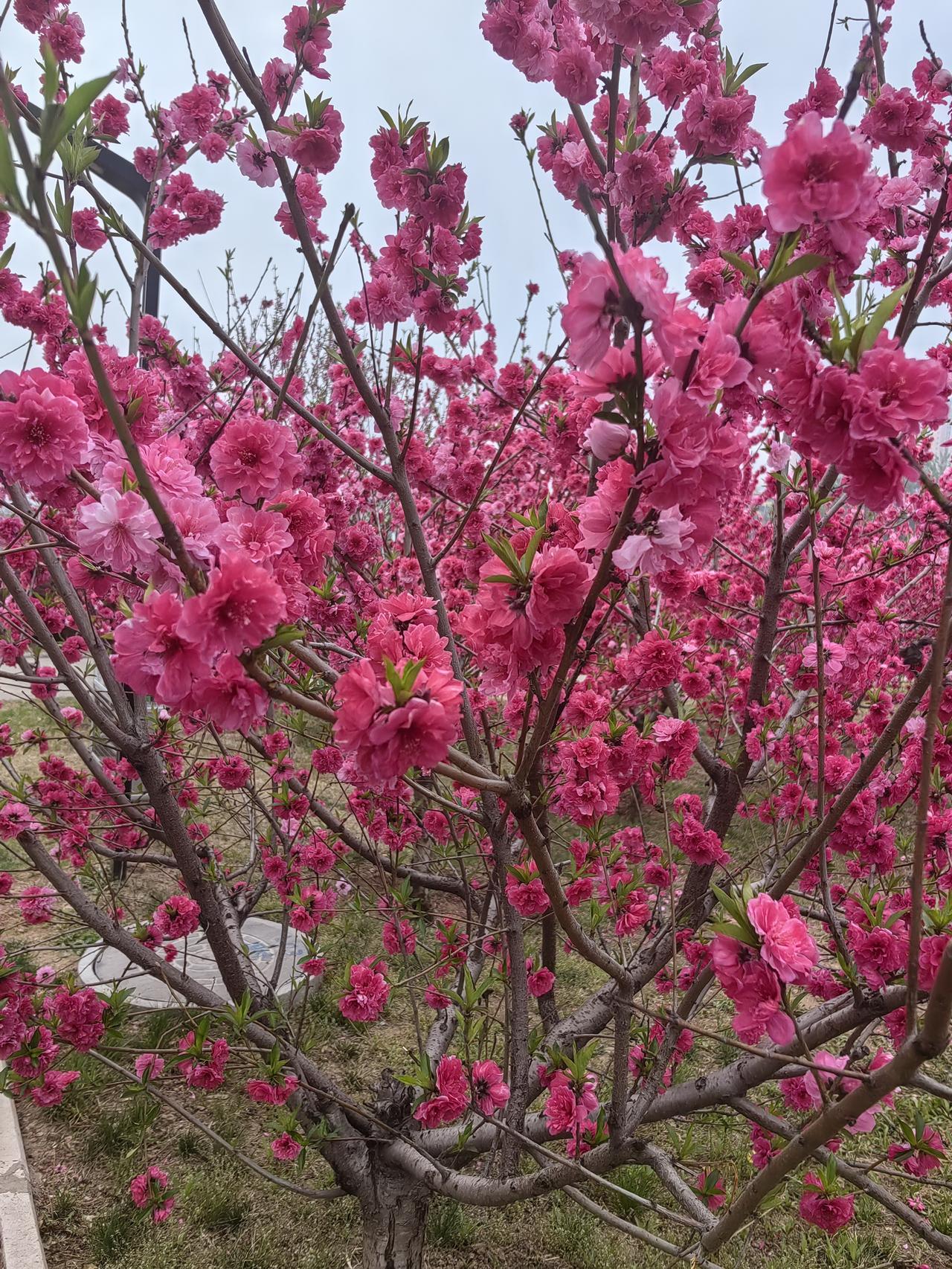 任何事物，都应追求双赢。你可以承接工程项目，凭借项目盈利，然而，也得给他人留些便