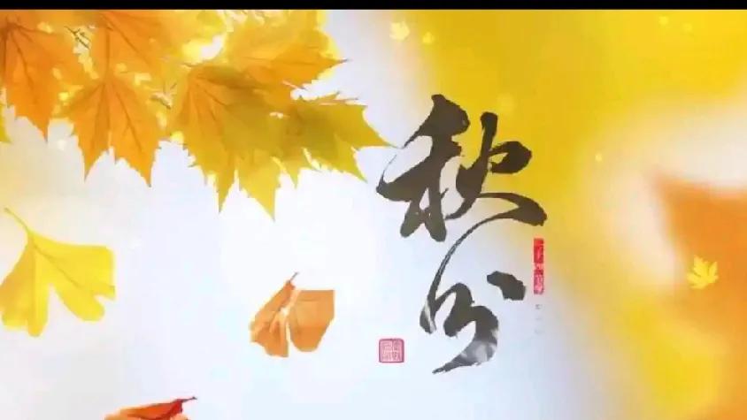 昼夜均分，落叶缓缓飘落，田野里处处是丰收的气息。没有盛夏的燥热，也还未迎来深冬的