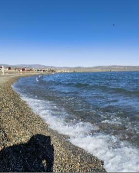 青海湖的湟鱼泛滥成灾，为何无人敢吃？一位50多岁的老渔民告诉我：青海湖里有12.