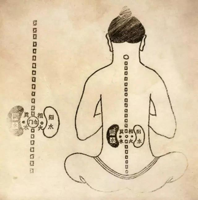 揭秘“补阳神器”：这款中成药，比桂附地黄更给力，专治这3种病！

你是否常常在寒