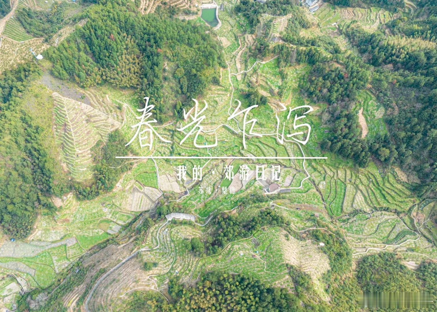 【带你赏漫山梨花】春天是三月梨庄里一抹抹的绿色，是满山遍野那冒着白花的成片梨树，