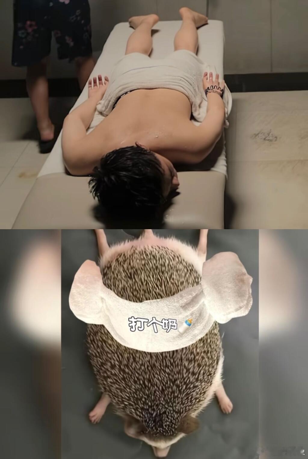 丁禹兮刺猬警官文彬彬，反派黑莲花爆改正义警官，今晚都来看《黑白森林》[打call