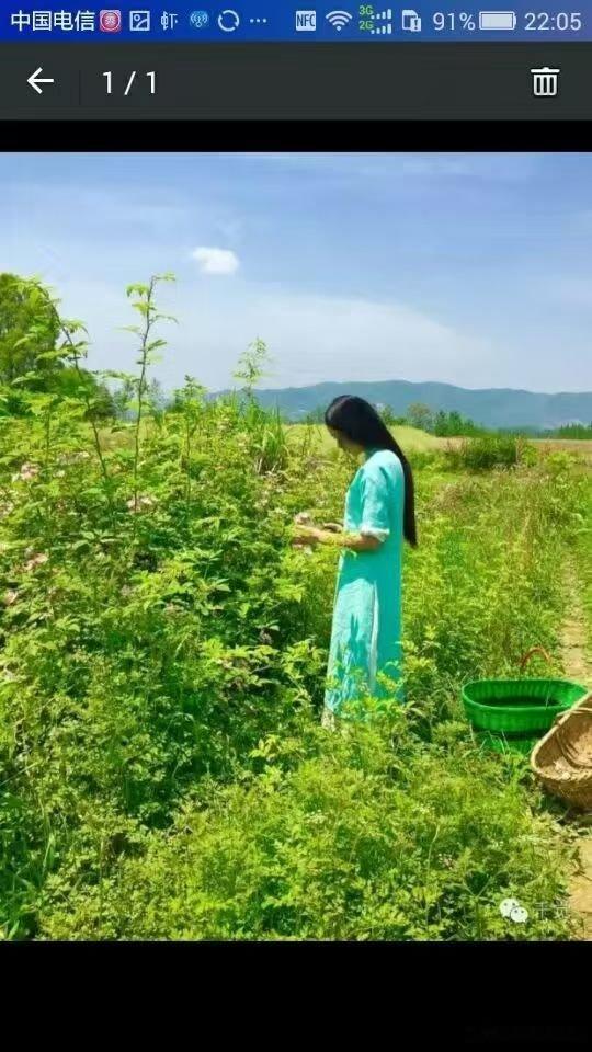 玄学真相爱上谁从来不是你自己能决定，而是业力的牵引。当你心中莫名对一个人动了深情