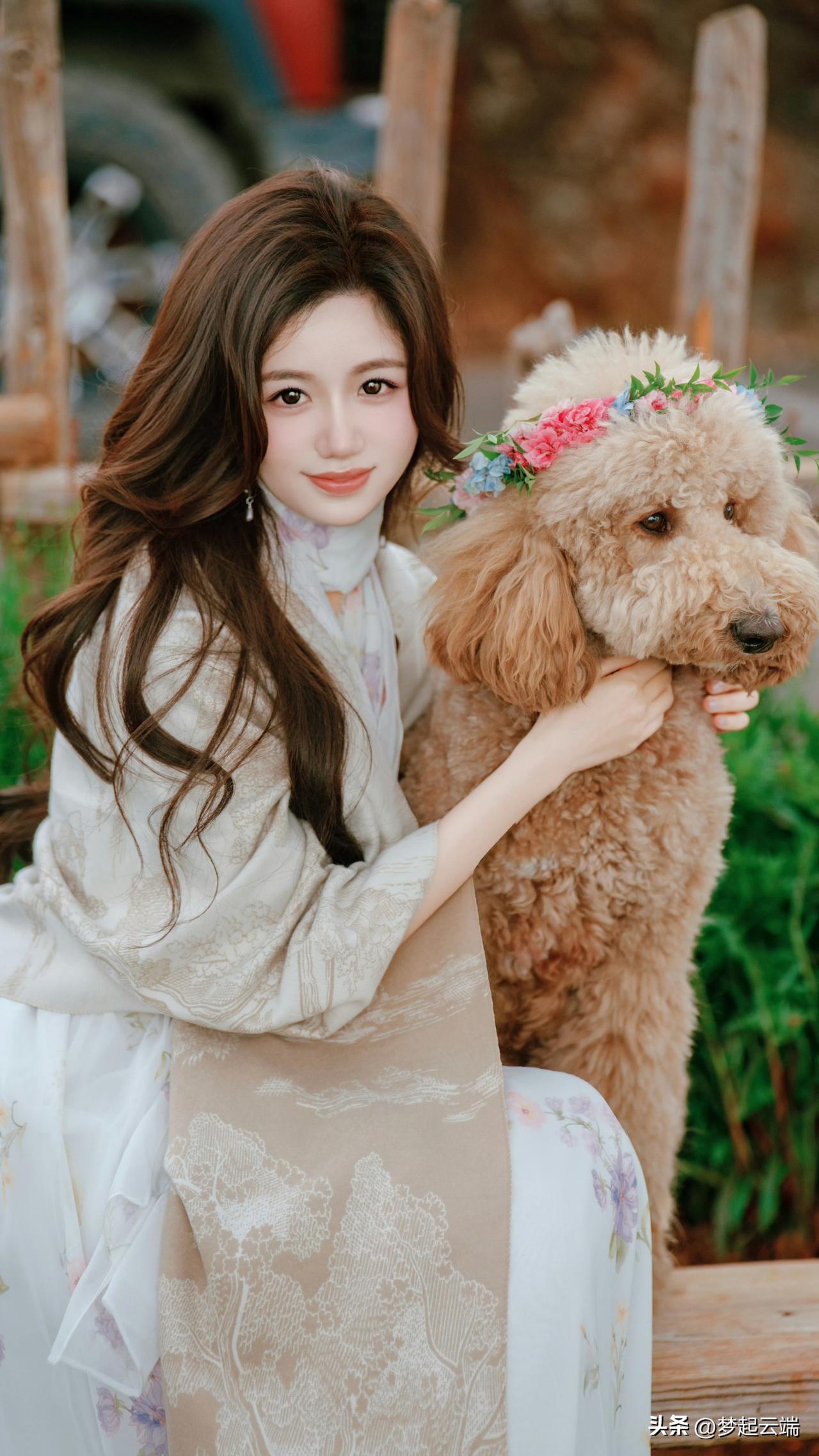 与爱犬共度美好时光，花环相伴，温馨如画。🌸🐾