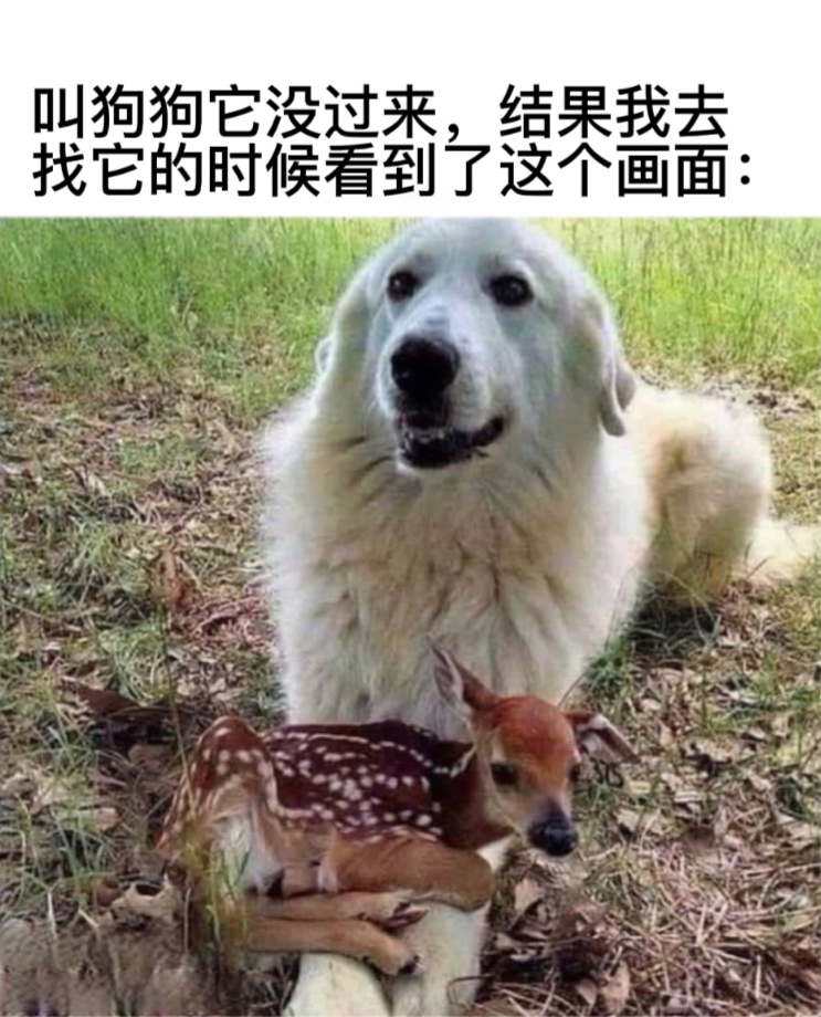 新朋友#今日memes# //#我的幽默搭子# //#定格# ​​​