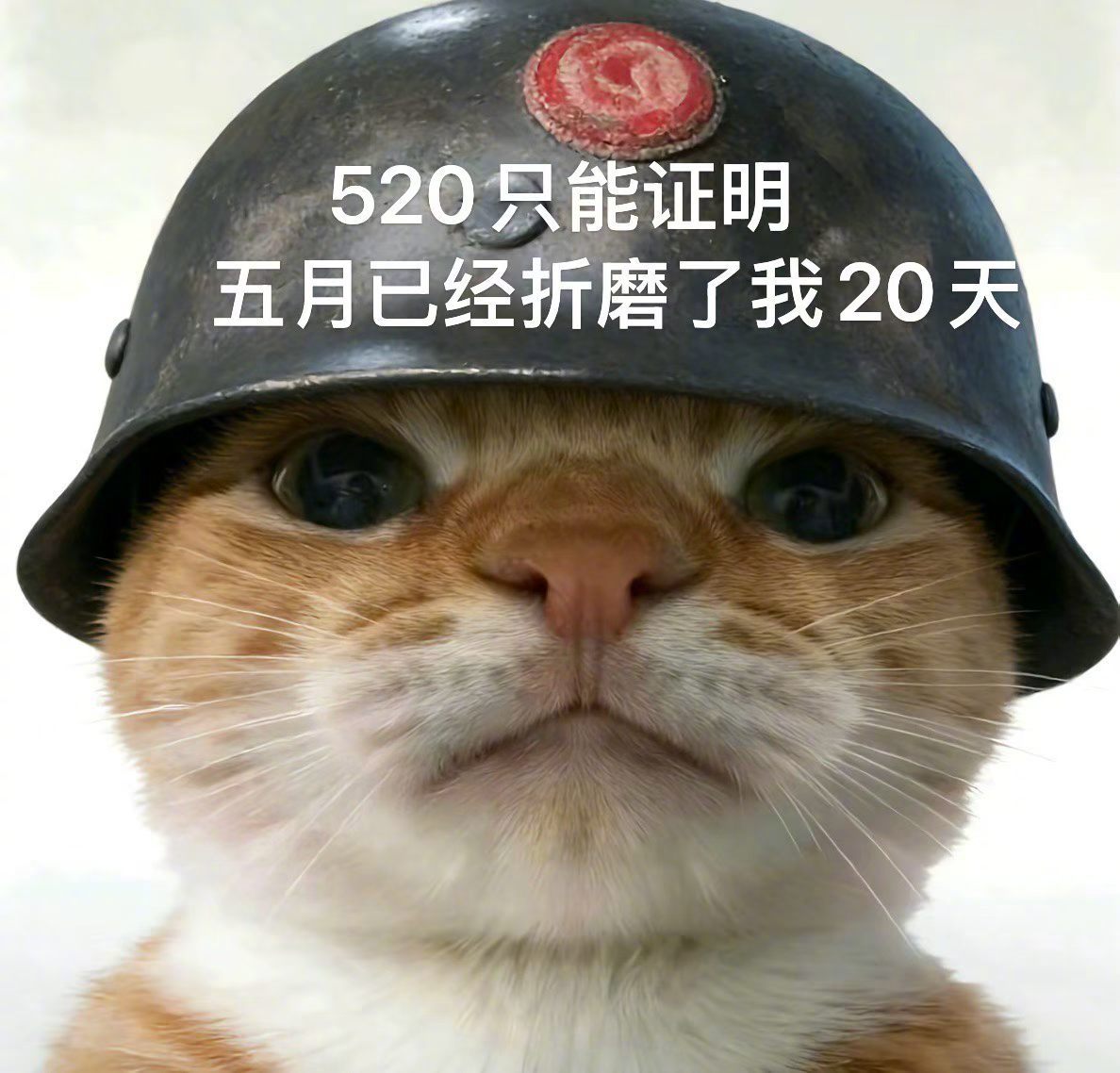 520 没错 