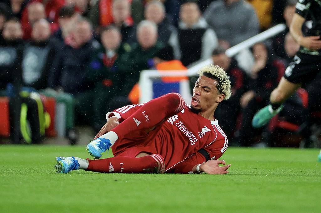 法国前锋埃基蒂克伤别世界杯

16日凌晨，法国队官方消息，主帅德尚确认了埃基蒂克