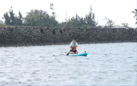 武大靖划船梦回跑男龙舟赛专业运动员划水，就是这么有气势亲爱的客栈