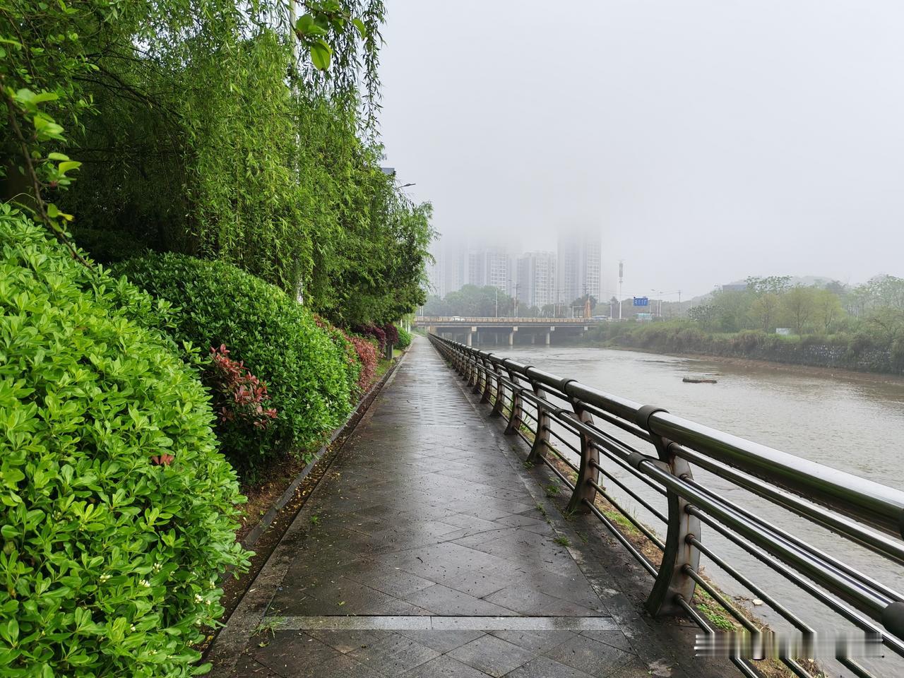 昨天没有下雨，用过早餐后，我们驾车前往体育公园赏春。

体育公园坐落于城东东玺台