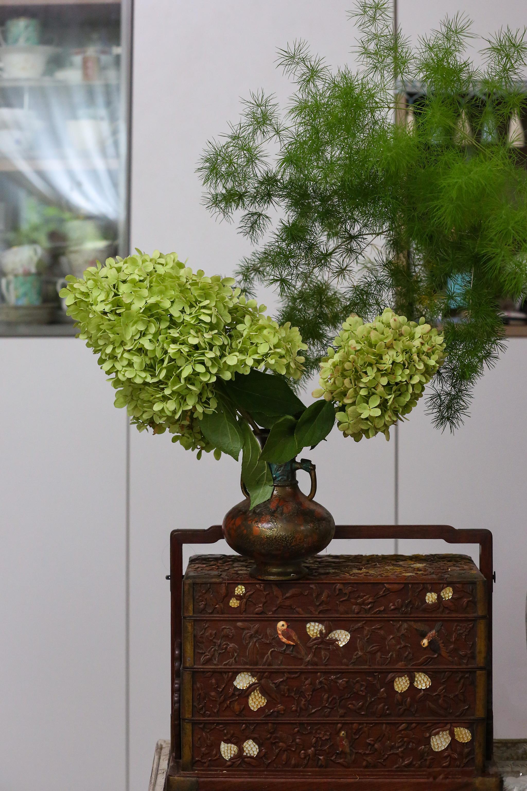 今年蚊子额外多，不知道是不是院子里植物太过茂密便于它们藏匿。多到很多花在开啊开啊