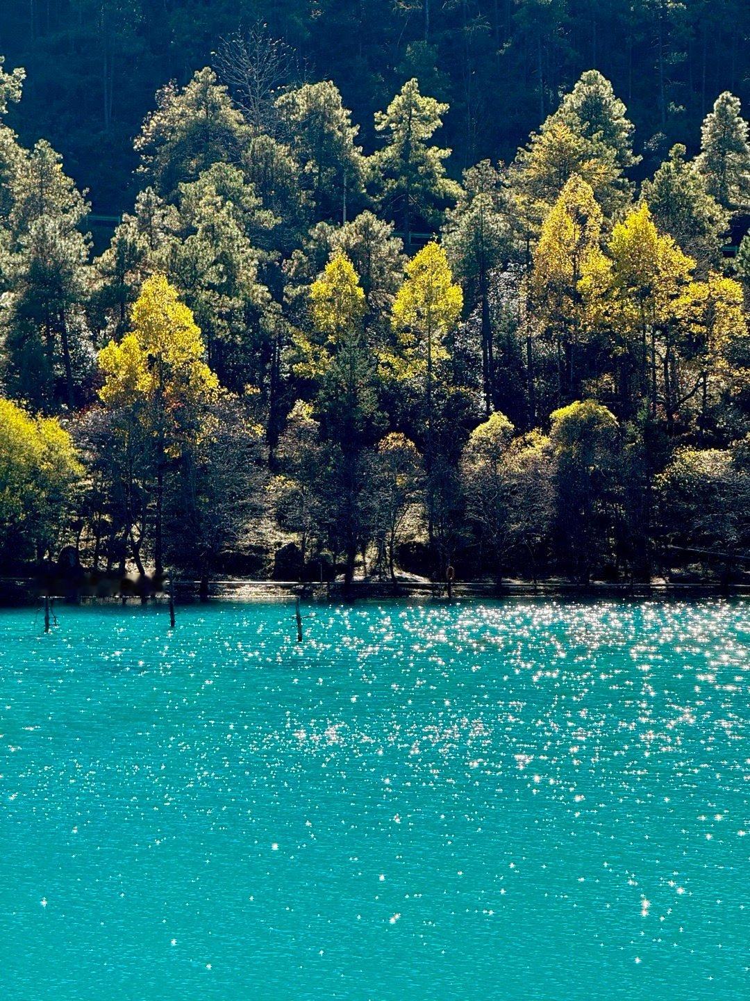 📍丽江蓝月谷 ◡̈ ᶜᵘᵗᵉ体验蒂芙尼蓝湖水🫧的绝美💎 