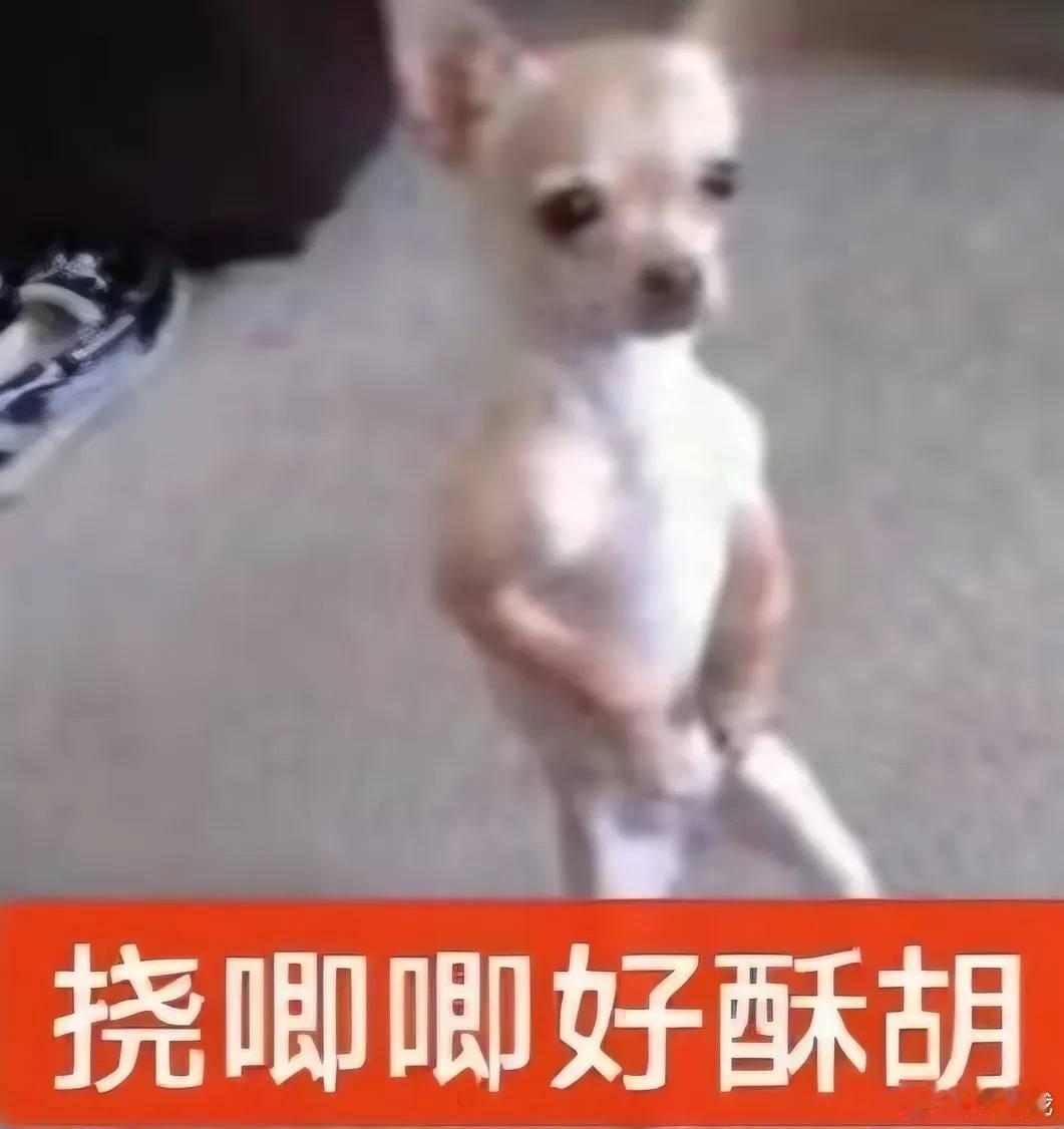 好无聊我要睡觉了 