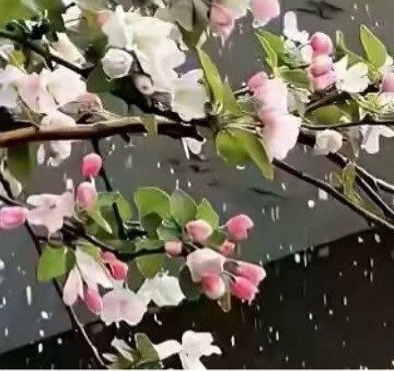 0000生活的天空不可能永远清澈透明，有风雨也是常事。但只要向阳而生，保持内心的
