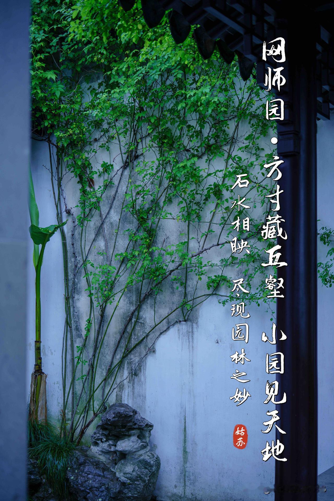 苏州网师园 ｜方寸藏丘壑  小园见天地
 🏞️ 石水相映  尽现园林之妙

 