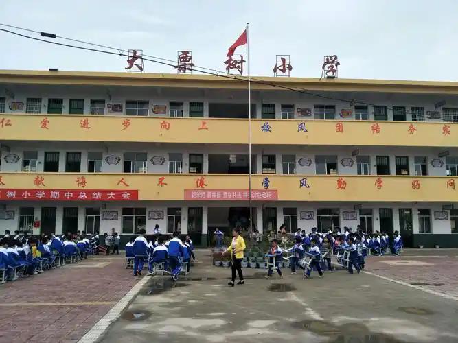 晁陂小学顶风违规，强制摊派学生征订报刊

教育减负、规范收费是教育部三令五申的硬