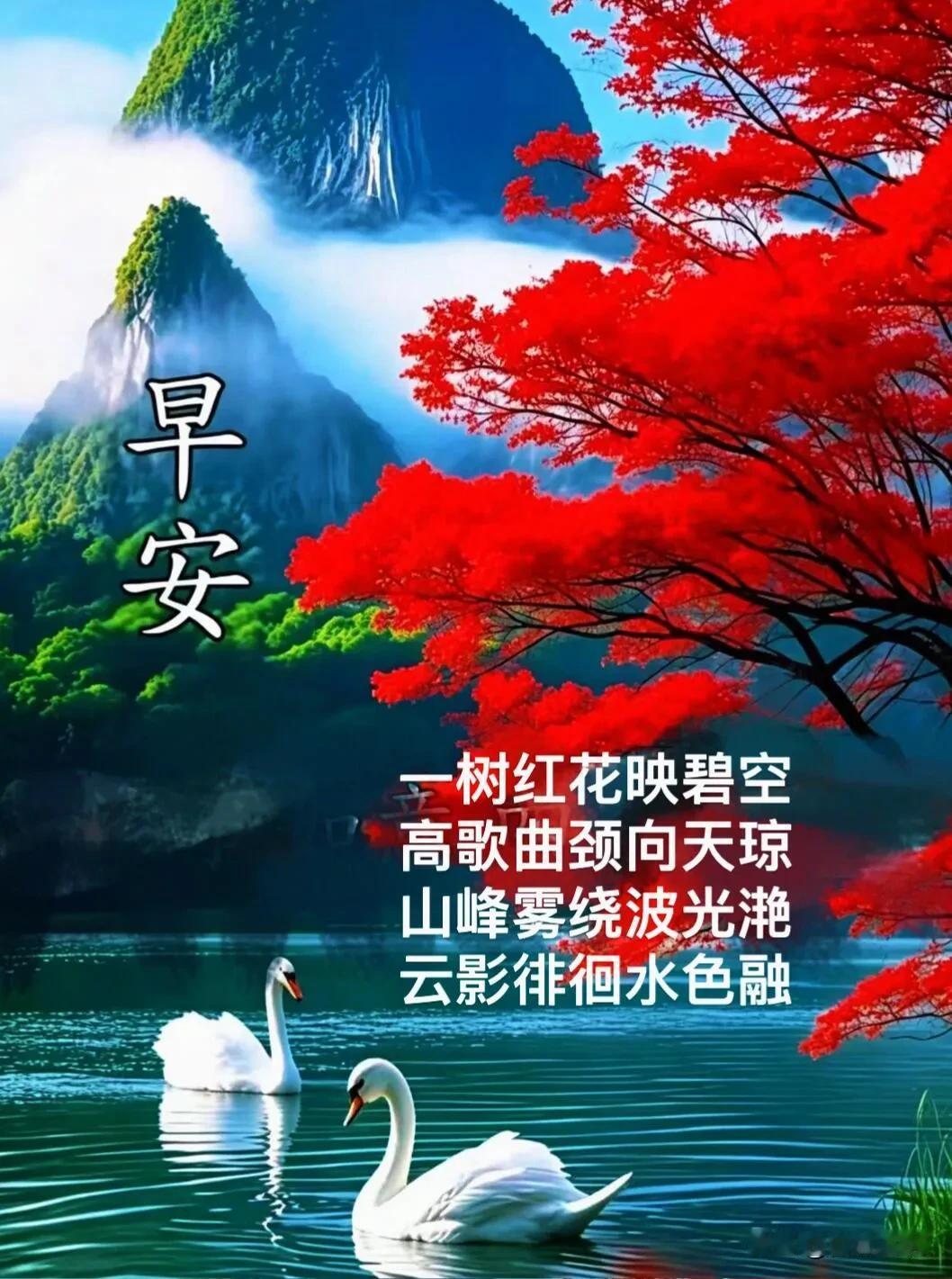 晨光驱散阴霾，愿你岁岁安稳，事事顺心