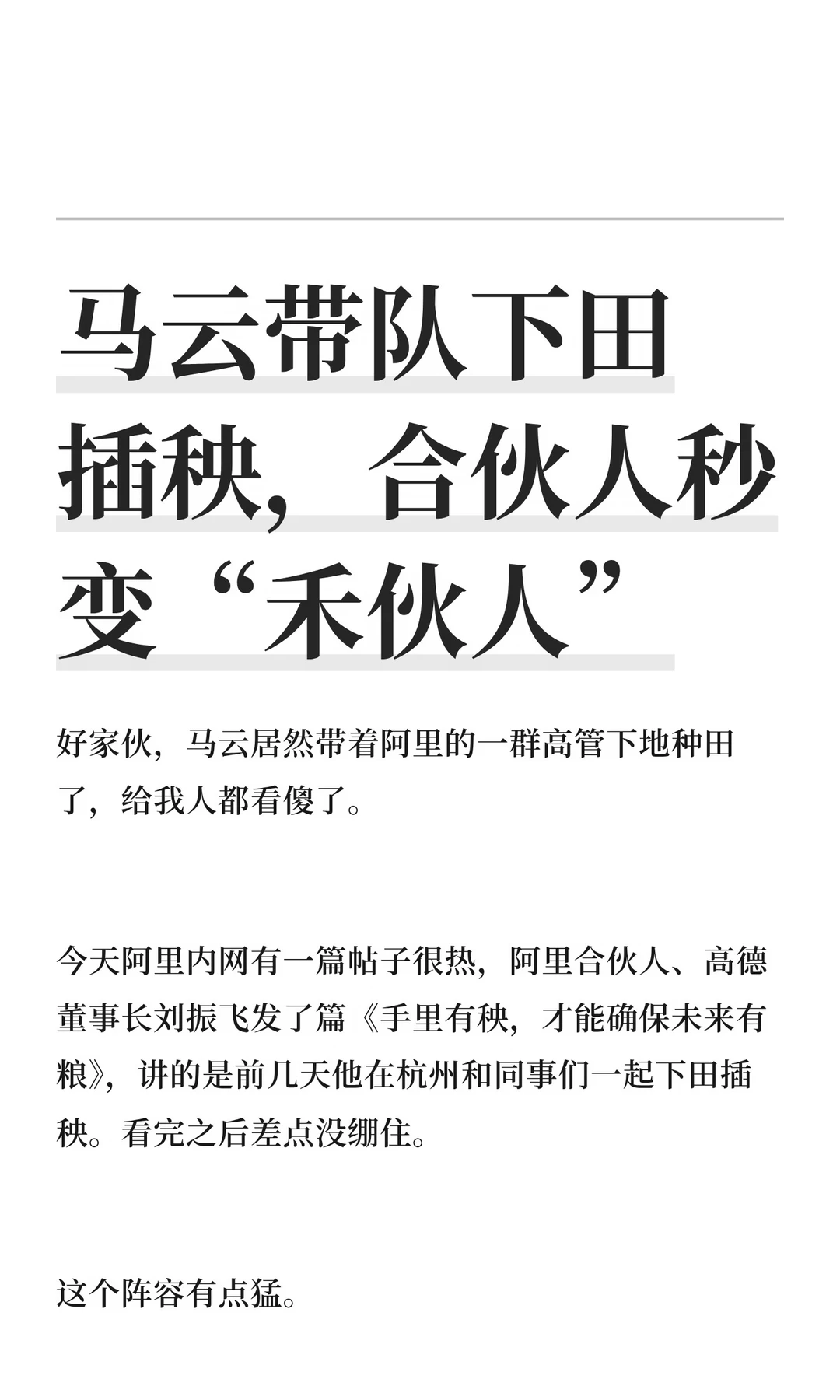 马云带队下田插秧，合伙人秒变“禾伙人”