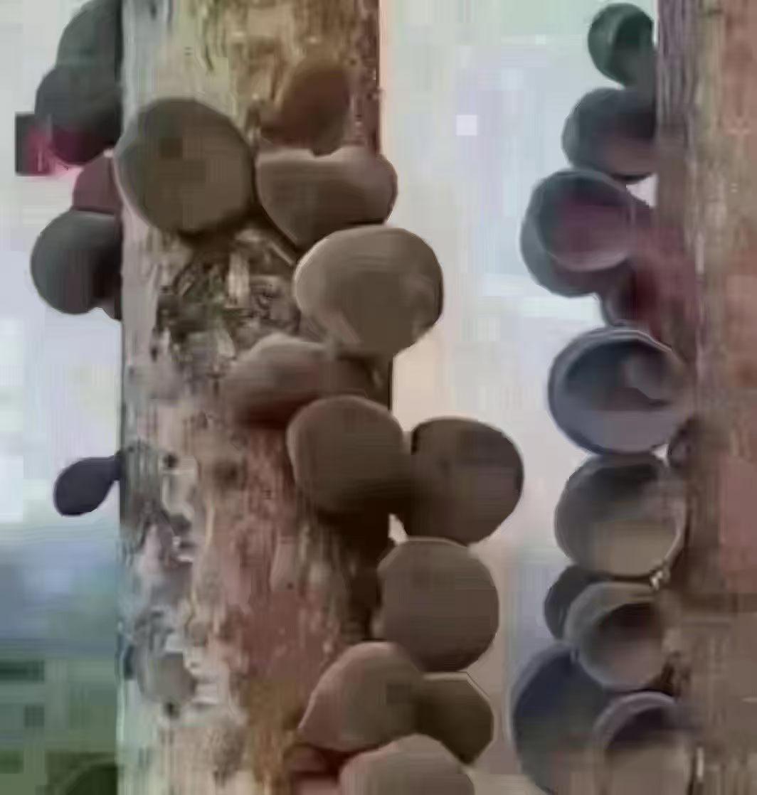 分享一下你随手拍下的照片