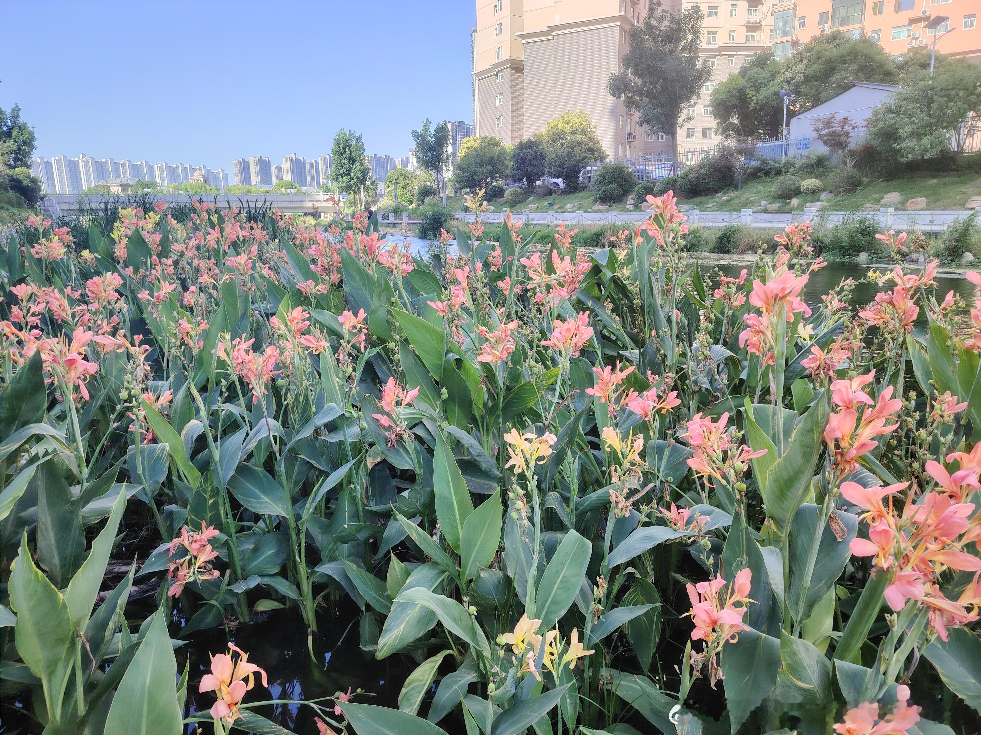 跑河六公里。 