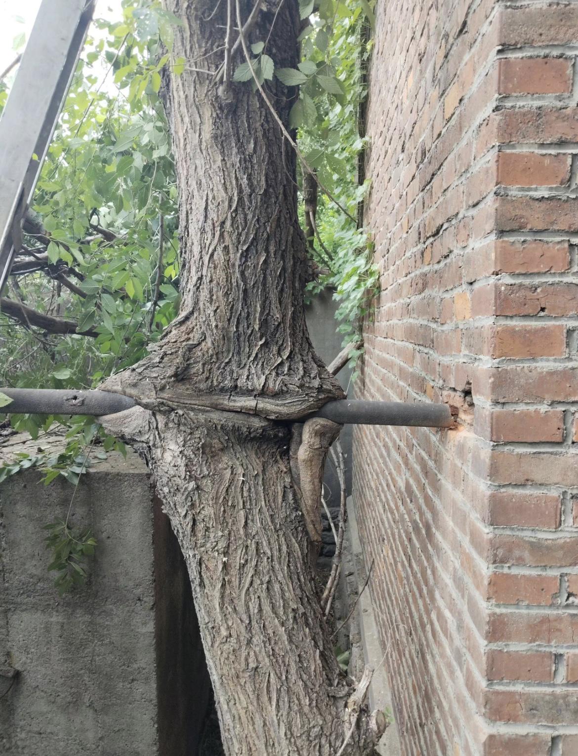 我的今日状态：😁轻松愉快
我这里的天气：🌤️多云
当你遇到挫折时，
还是坚强