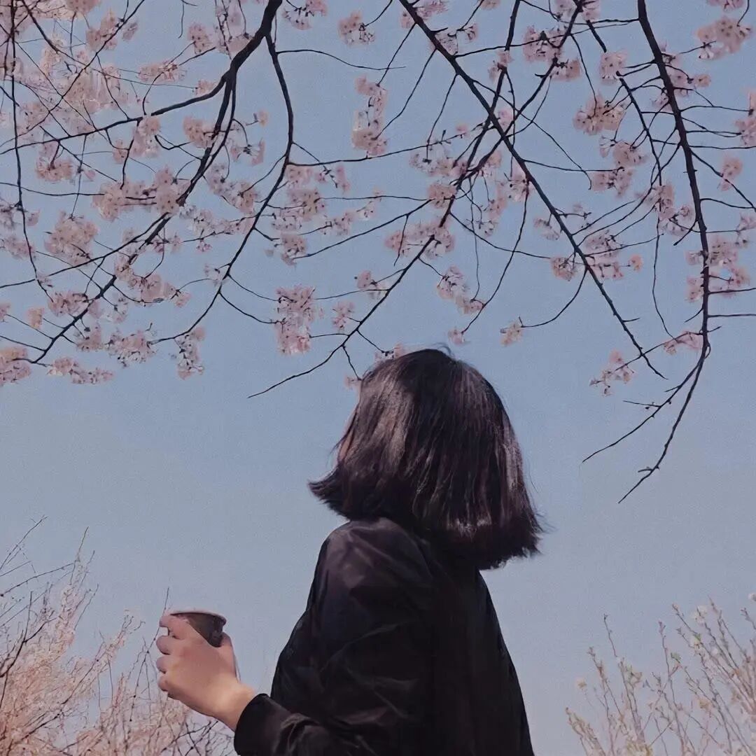 𝗪𝗲𝗖𝗵𝗮𝘁头像 ‖女生头像‖氛围感‖优质女头‖小众高级 ‖无水印女