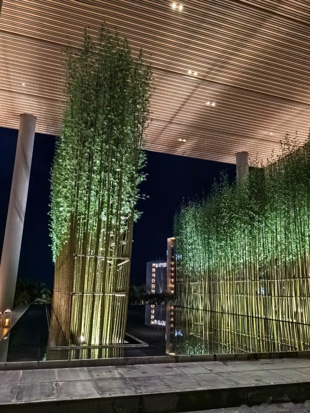 Mega还没开上，但这家酒店夜景是真不错[二哈]  ​​​