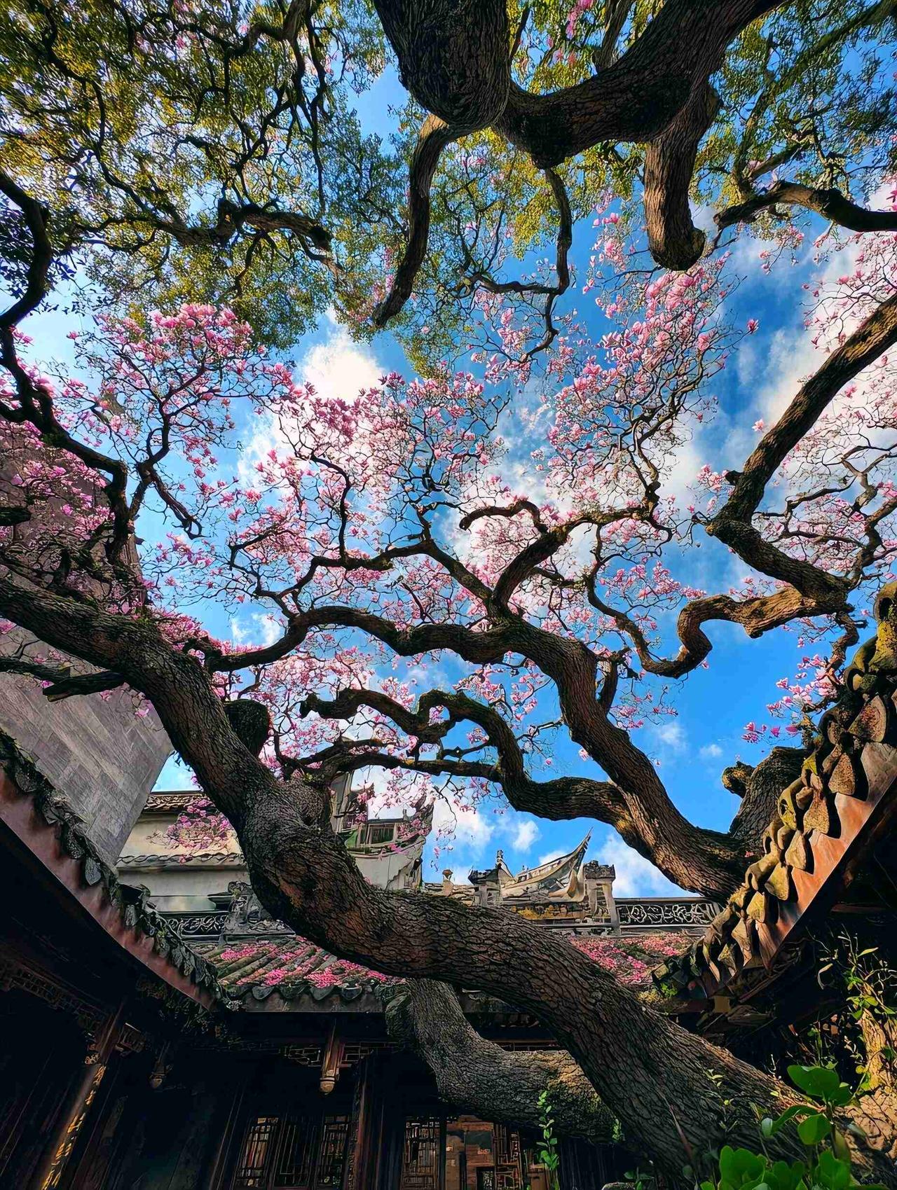 我的今日状态：💰期待暴富
我这里的天气：🌈雨过天晴
什么样的人，才会沉迷这种